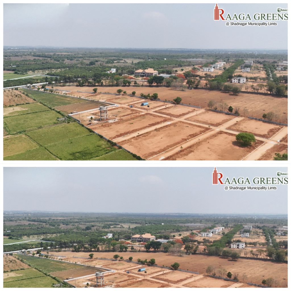 Raagha Greens 2